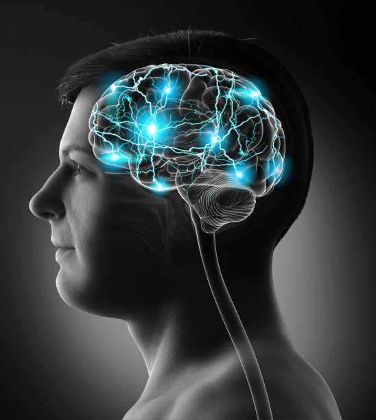 istock 3d rendered, medically accurate illustration of a male active brain 1257191610
