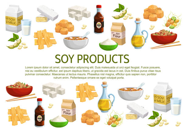 соевые и соевые продукты, вектор - soy products stock illustrations