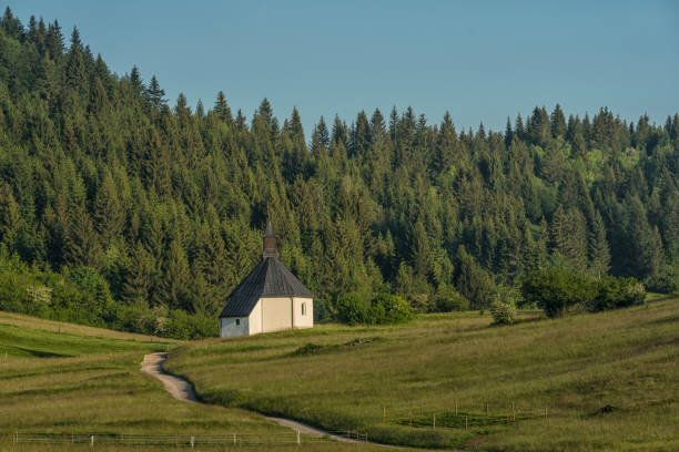 Small chapel St. Florjan in the middle of meadow at the village Loški potok on the border with Croatia, spruce forest in background and sky.