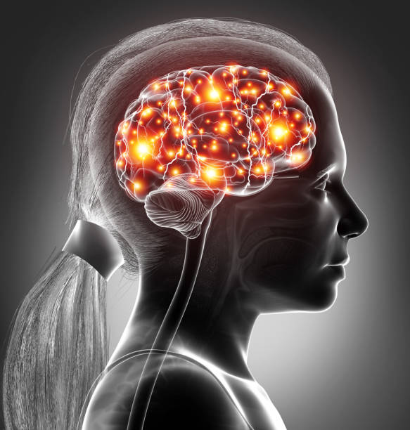 istock 3d rendered, medically accurate illustration of a young girl active brain 1257194292