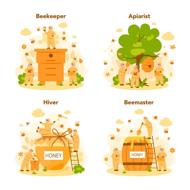 Hiver or beekeeper concept set. Professional farmer with hive Hiver or beekeeper concept set. Professional farmer with hive and honey. Countryside organic product. Apiary worker, beekeeping and honey production. Vector illustration hiver stock illustrations