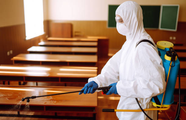 istock Disinfecting school class to prevent COVID-19. 1257197027