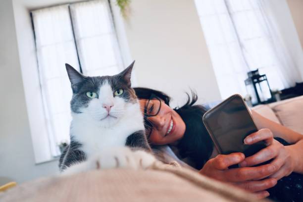 istock Relaxing in the living room 1257201636