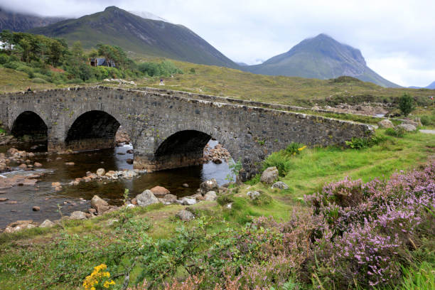 istock Highlands, Scotland, United Kingdom 1257202253