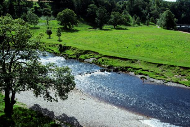istock The River Wharfe, Wharfedale, near Skipton, West Yorkshire, England. 1257203417
