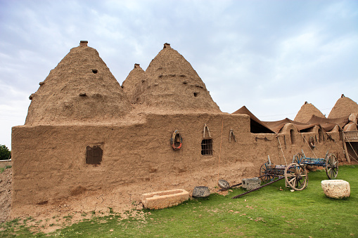 Traditional mud brick 'beehive' houses in the village of Harran, Turkey