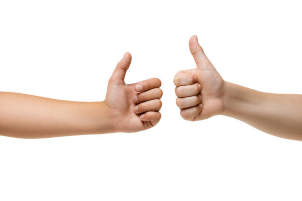 istock Children's hand, palm gesturing isolated on white studio background 1257205615