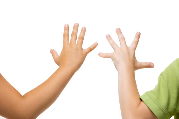 istock Children's hand, palm gesturing isolated on white studio background 1257205624