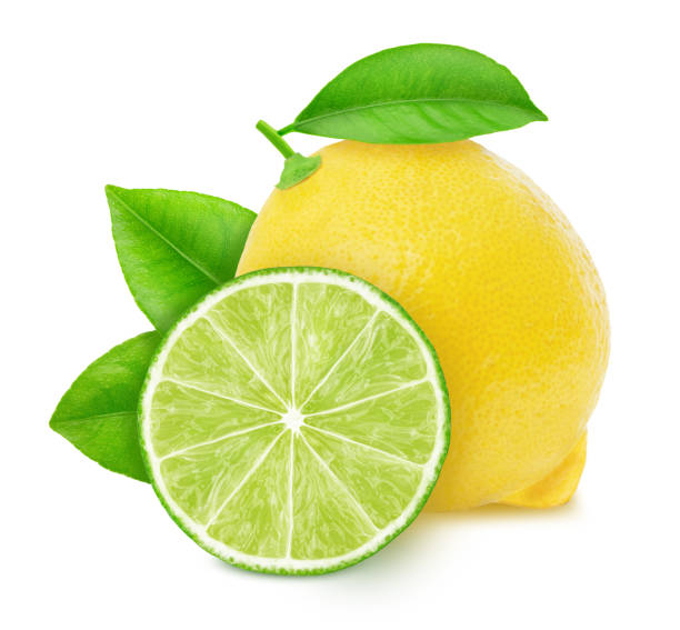 istock Different citrus fruits composition isolated on a white background. 1257205631