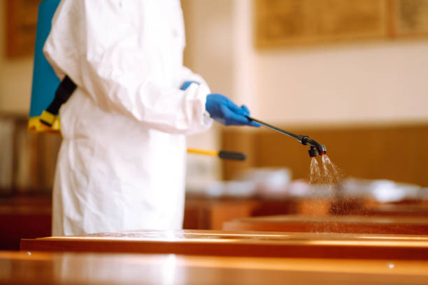 istock Disinfectant sprayers with spray chemicals in school class. 1257205805