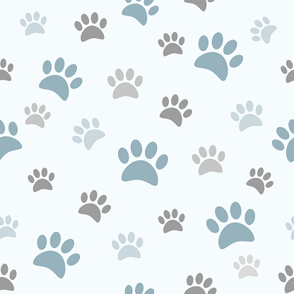 Cute boyish paw prints seamless pattern.
Good for textile print, wallpaper, wrapping paper, print on gifts.