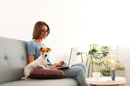 Portrait of young beautiful hipster woman working at home with her adorable jack russell terrier puppy at home in living room full of natural sunlight. Lofty interior background, close up, copy space.