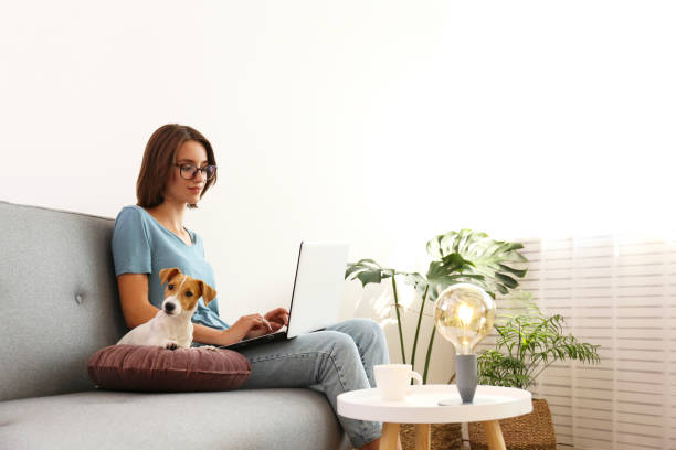 istock Small breed puppy and its owner at home. 1257209774