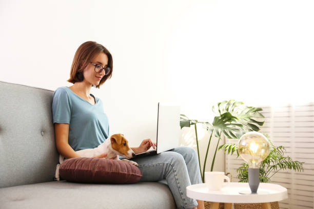 istock Small breed puppy and its owner at home. 1257209780
