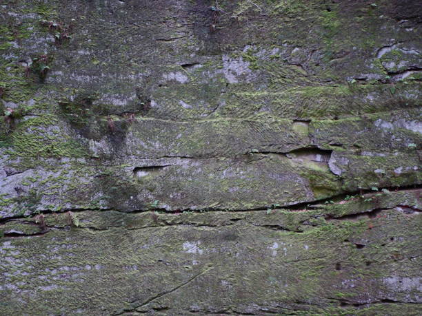 каменная каменная стена - alderley edge стоковые фото и изображения
