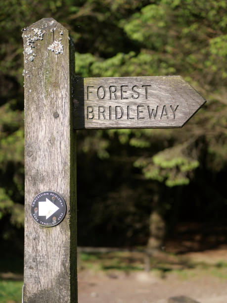 istock Forest bridleway fingerpost sign 1257209847