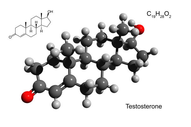 Chemical formula and structure of testosterone, a human male sex hormone stock photo