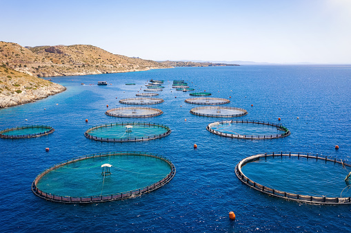 Aerial view of a fish farm off the coast in the blue, mediterranean sea in Greece