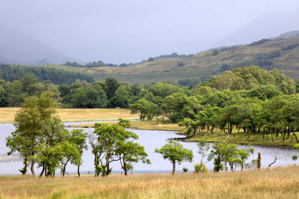 istock Highlands, Scotland, United Kingdom 1257219514