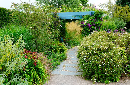 An English garden with ornamental path and trellis, showing day lilies, clematis and roses.