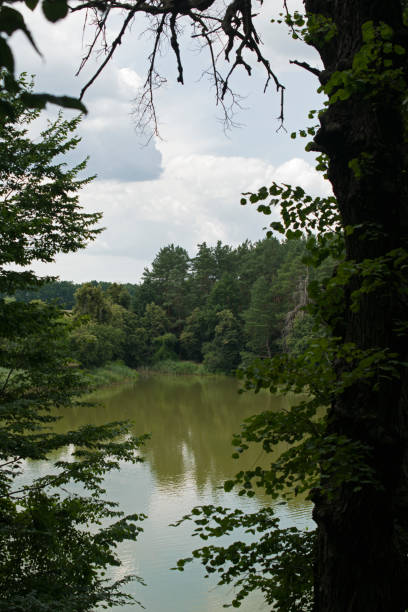istock Vertical summer landscape with a lake. 1257222522