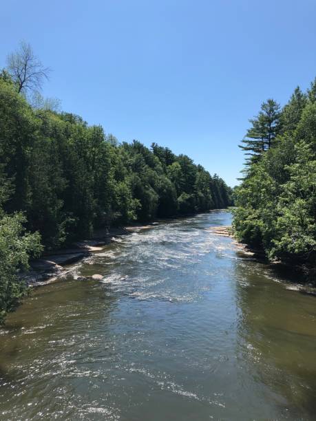 istock Moving river in the middle of the forest 2 1257222914