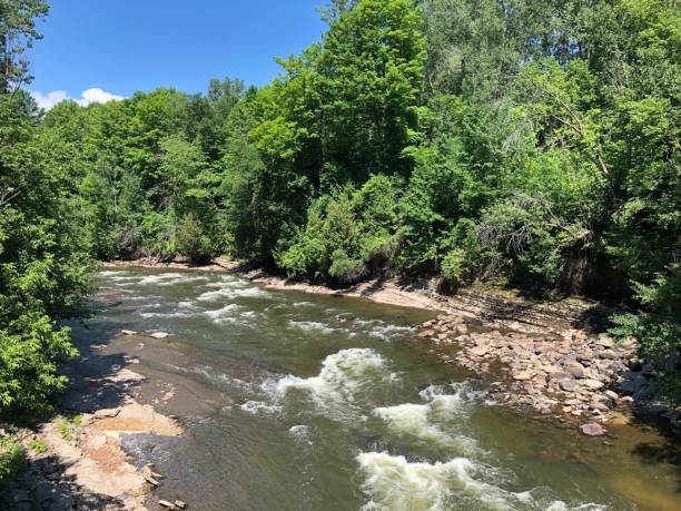 istock Moving river in the middle of the forest 1257222931