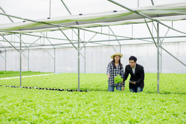 istock farmer is telling the customer how to plant. 1257223474