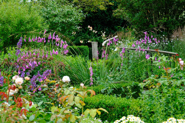 istock English Summer Garden 1257225145