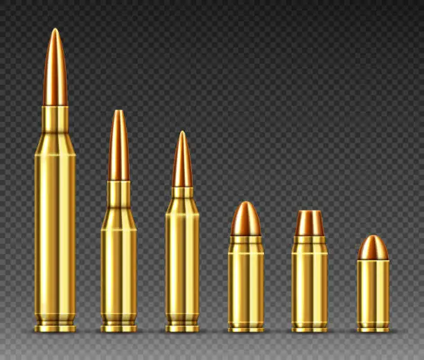 Vector illustration of Bullets of different calibers stand in row, ammo