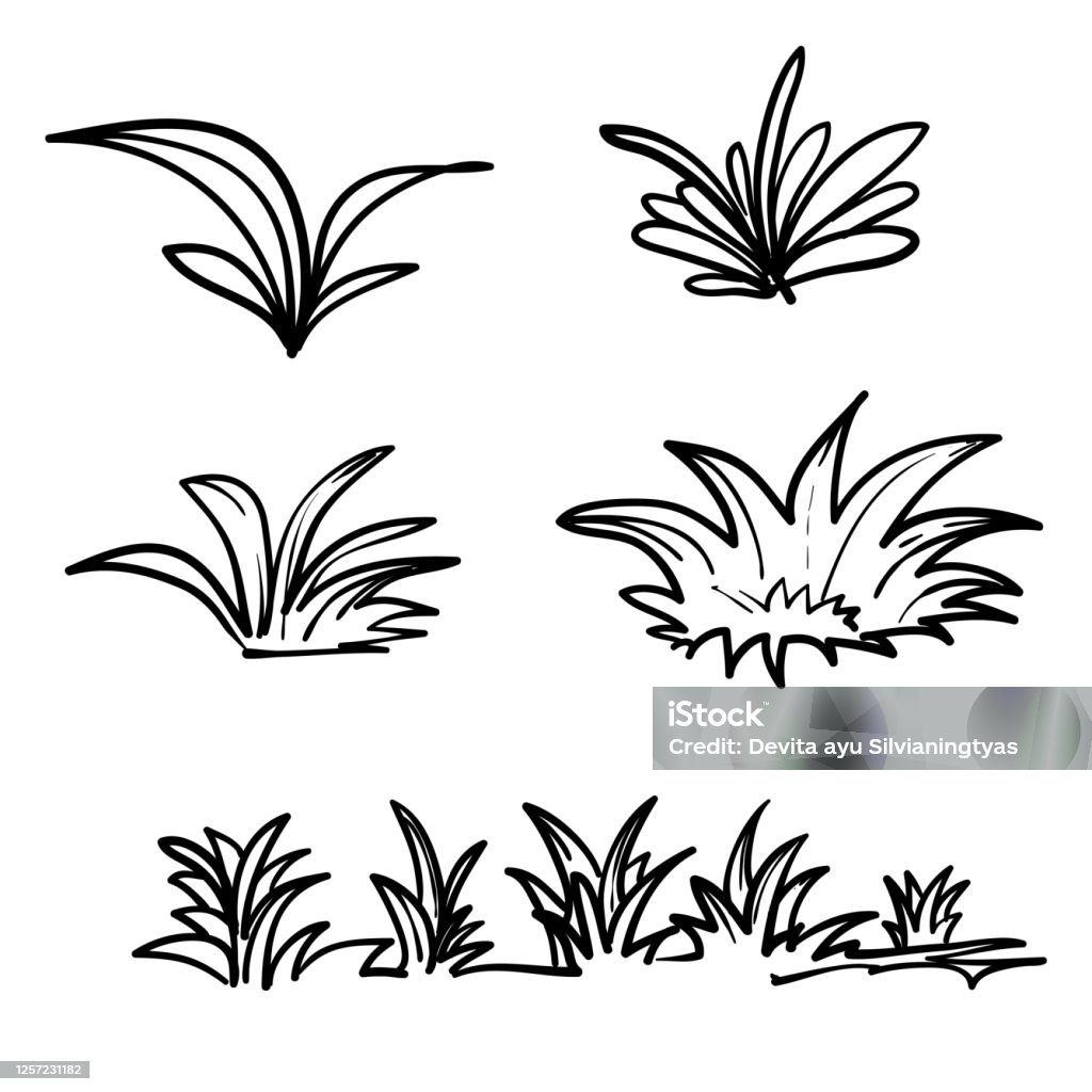 Vẽ Tay Doodle Bụi Cỏ Vẽ Vector Hình minh họa Sẵn có - Tải xuống Hình ảnh Ngay bây giờ - Bãi cỏ - Đất canh tác, Bảo tồn thiên nhiên, Các Vẽ Tay Doodle Bụi Cỏ Vẽ Vector Hình Minh Họa Sẵn Có - Tải Xuống Hình Ảnh Ngay Bây Giờ - Bãi Cỏ - Đất Canh Tác, Bảo Tồn Thiên Nhiên, Các