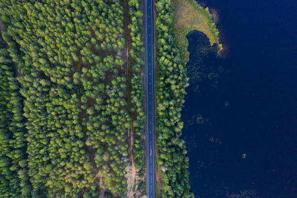 istock Aerial view from drone on asphalt road at the forest 1257231803