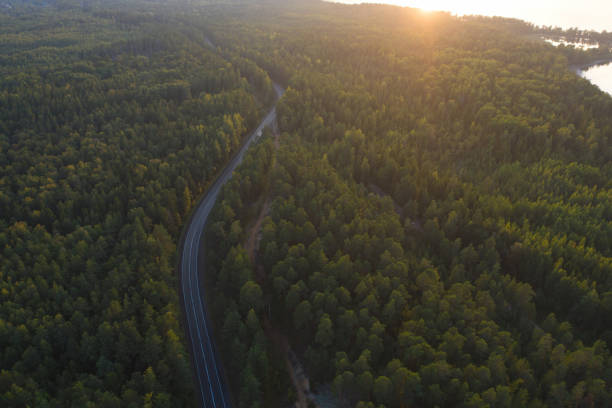 istock Aerial view from drone on asphalt road at the forest 1257231834