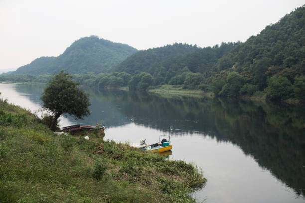 istock Forest green lake park water summer landscape. 1257231964