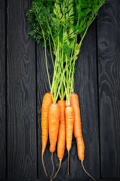 Carrots with halm on wooden background. Summer harvest