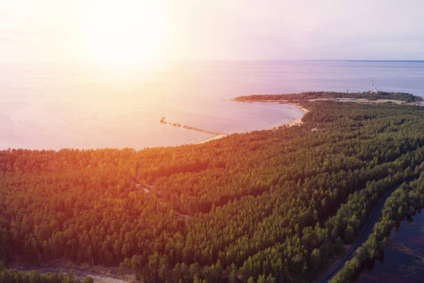 istock Aerial view from drone on summer forest and lake 1257232167