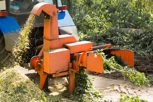 Industrial equipment, shredder of cut branches and twigs in operation. Wood Chipper