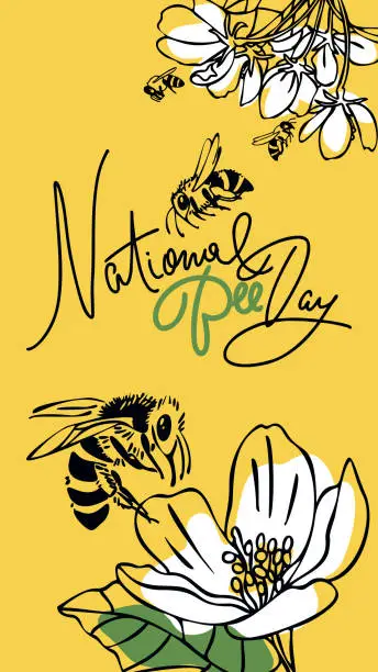 Vector illustration of National Bee Day. Vector design. Outline style. Vertical format. Greeting card, banner, poster, for World Bee Day