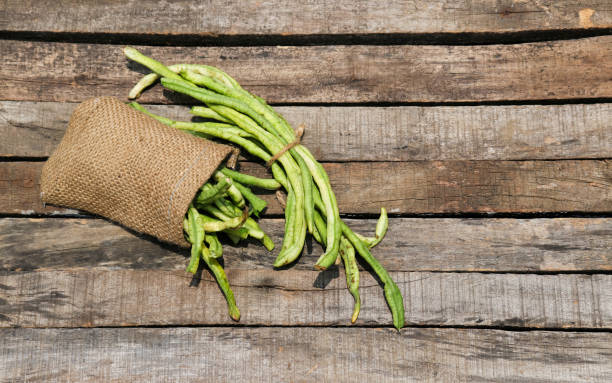 istock Yardlong Bean or Pea Bean Isolated on Wooden Background with Copy Space, Also Known as Asparagus Bean 1257233358
