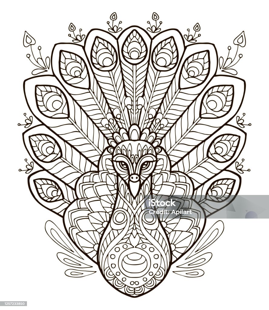 Peacock Coloring Vector Stock Illustration - Download Image Now