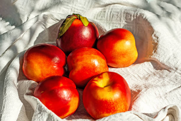frutas de nectarina orgânica maduras vermelhas na toalha branca da cozinha. conceito de alimentação saudável no verão. antioxidante de frutas. foco seletivo - zeaxanthin - fotografias e filmes do acervo