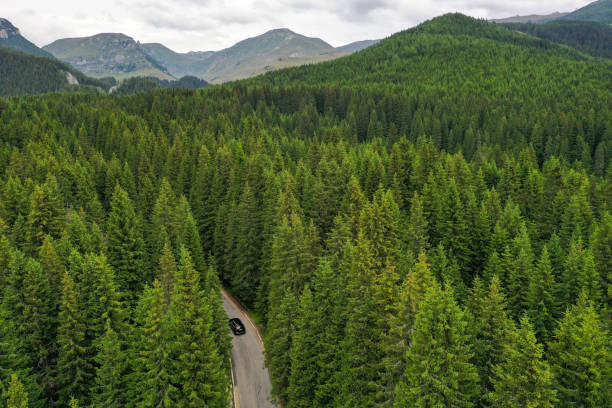 カルパティア山脈の高いトランスブセギ山道を持つドローン写真。 - トランシルバニア 写真 ストックフォトと画像
