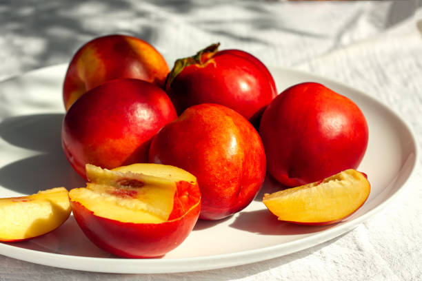 frutas de nectarina orgânica maduras vermelhas na placa branca no fundo da natureza. conceito de alimentação saudável no verão. antioxidante de frutas. foco seletivo - zeaxanthin - fotografias e filmes do acervo
