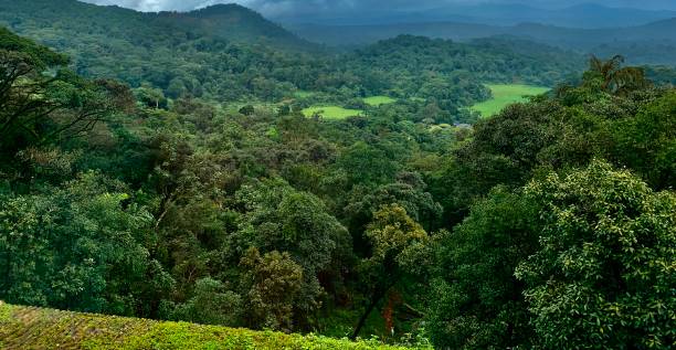 istock View of the hills through the ledge 1257240418