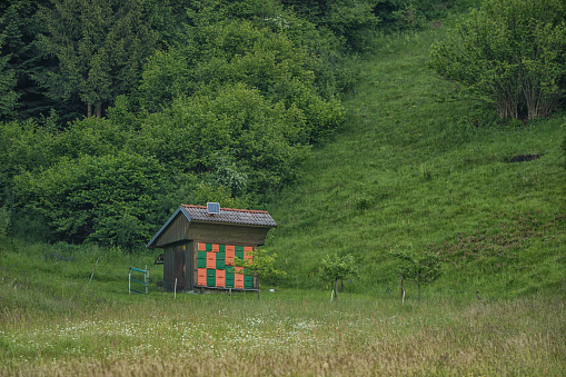 One traditional colorful bee hive on meadow, forest in background.