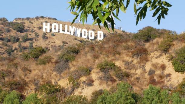 ikonische hollywood-zeichen. große buchstaben auf hügeln als symbol für kino, filmstudios und unterhaltungsindustrie. großer text auf dem berg, blick durch grüne blätter - image title stock-fotos und bilder