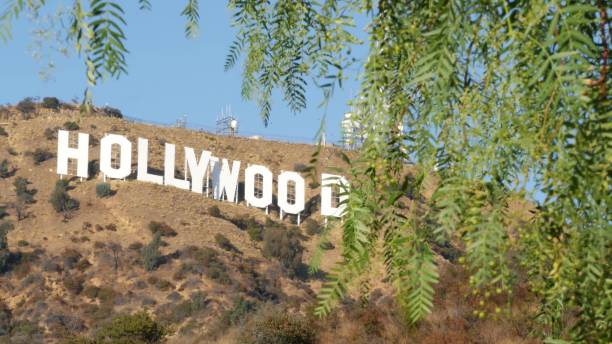 iconico cartello di hollywood. grandi lettere sulle colline come simbolo del cinema, degli studi cinematografici e dell'industria dell'intrattenimento. grande testo in montagna, vista su foglie verdi - cerimonia degli oscar foto e immagini stock