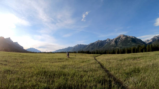 istock Female mountain e-biker rides through grassy meadow 1257246771
