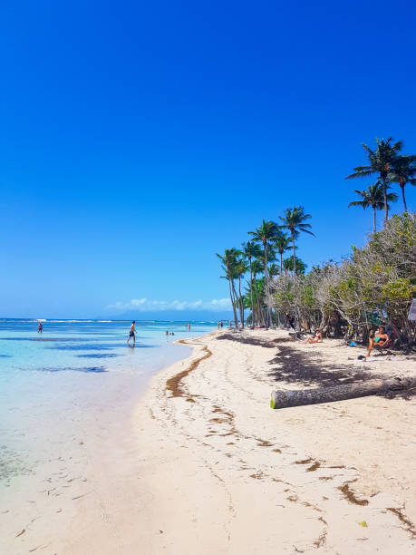 Sandy beach on Grand Cayman Island