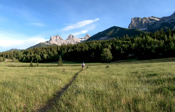 istock Female mountain e-biker rides through grassy meadow 1257247098